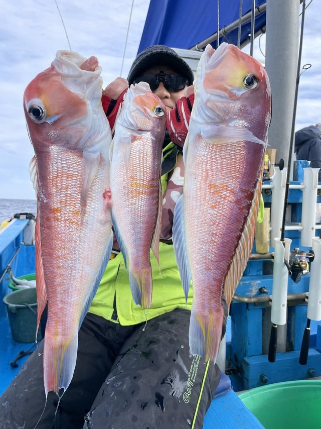 アマダイ(アカアマダイ)