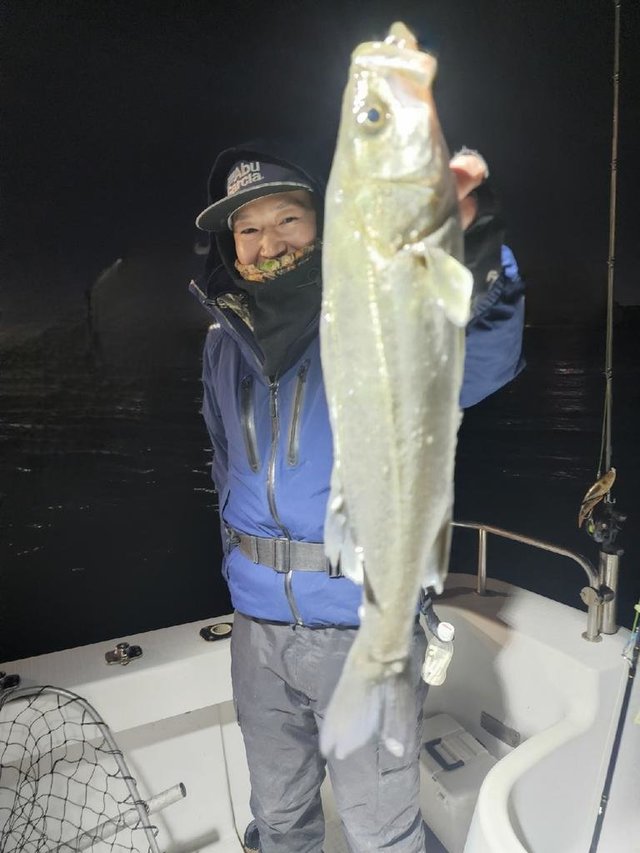 シーバス(スズキ)