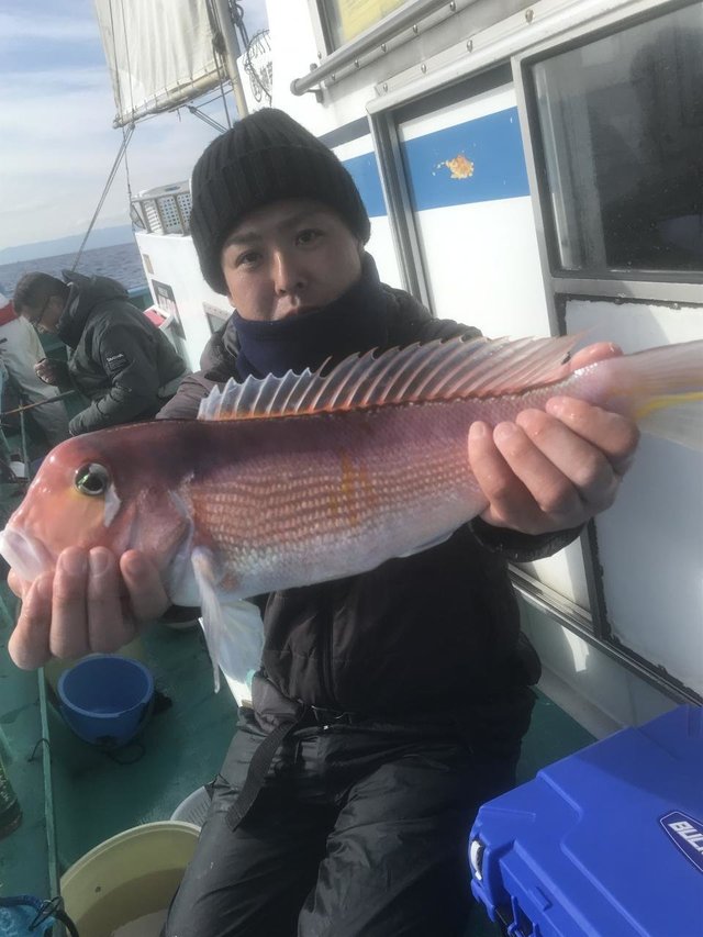 アマダイ(アカアマダイ)