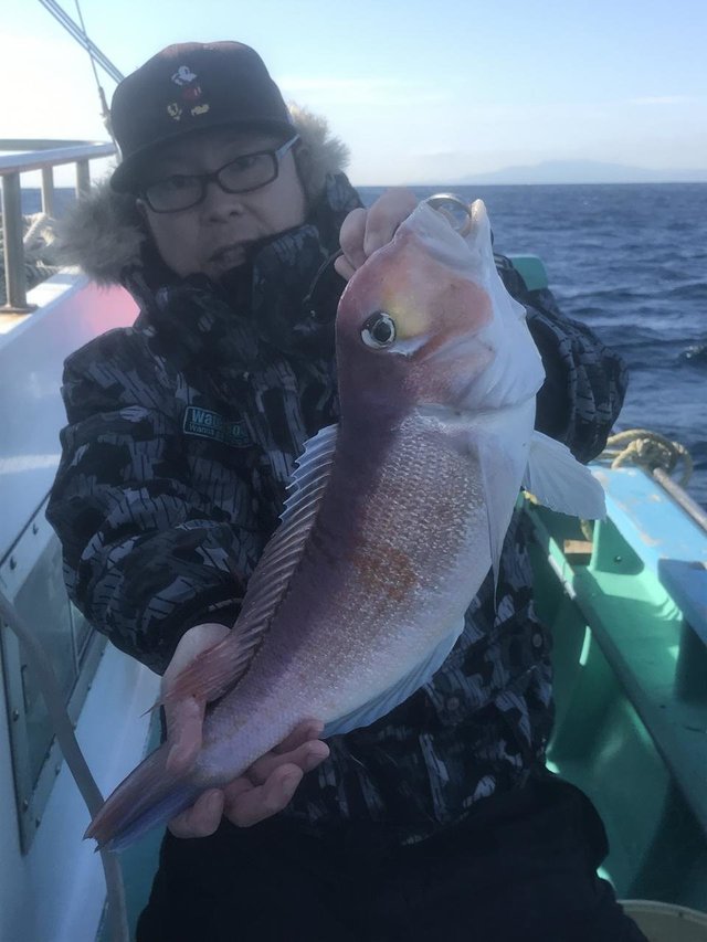 アマダイ(アカアマダイ)