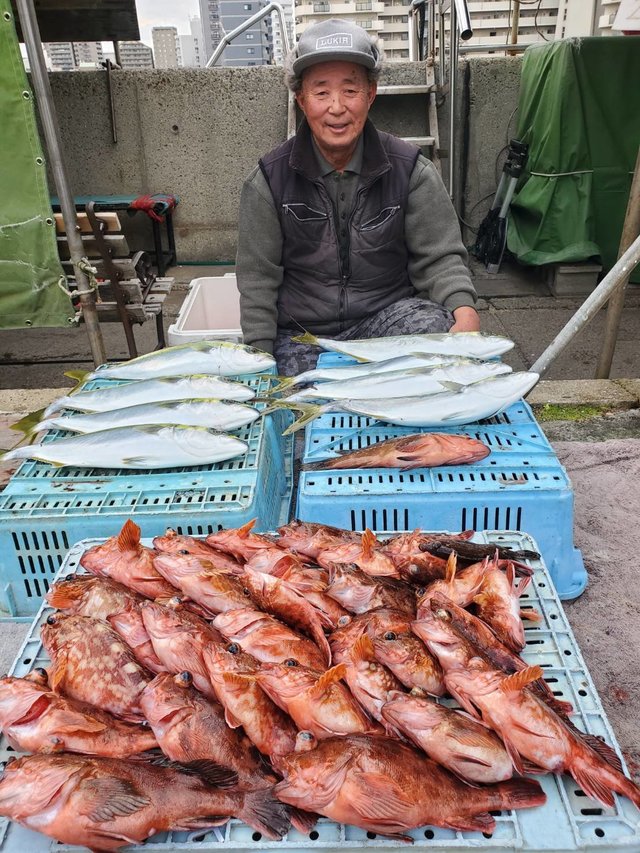 アコウ(キジハタ)・ブリ・ハマチ(ブリ)・ガシラ(カサゴ)