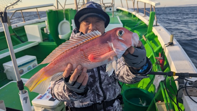 アマダイ(アカアマダイ)