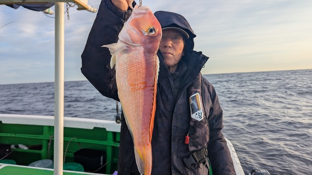 アマダイ(アカアマダイ)