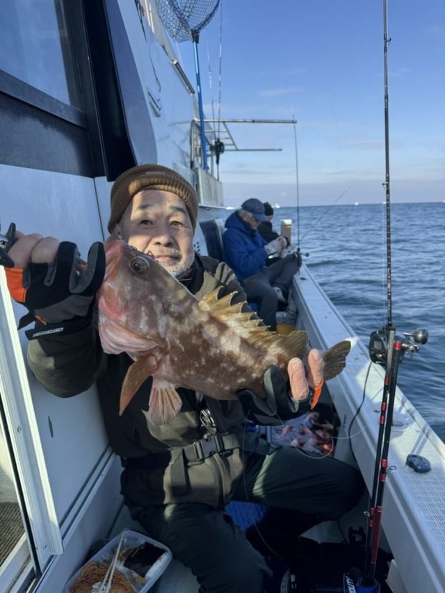 アコウ(キジハタ)