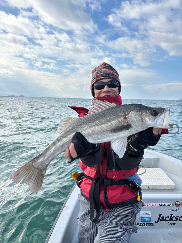 シーバス(スズキ)