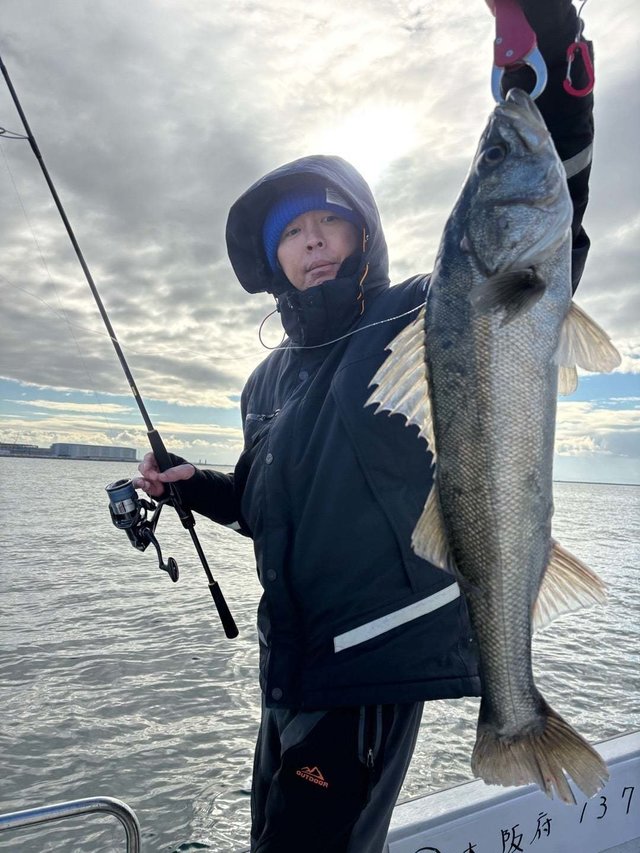 シーバス(スズキ)