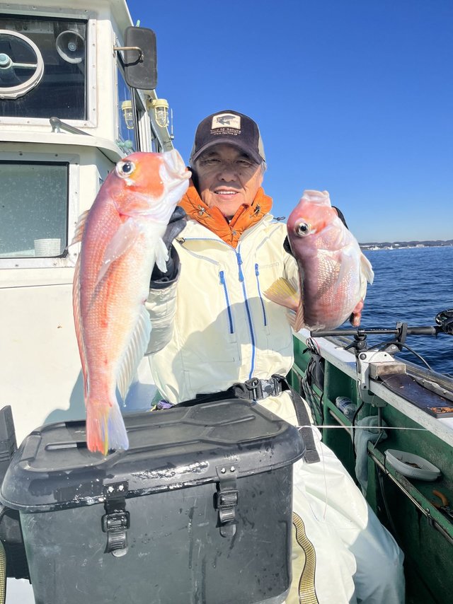 アマダイ(アカアマダイ)