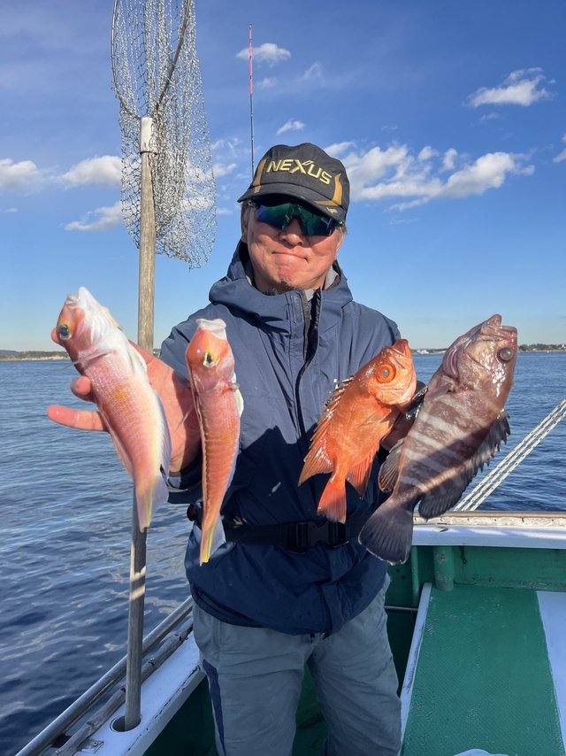 マハタ・アマダイ(アカアマダイ)