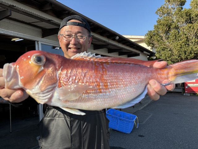 アマダイ(アカアマダイ)