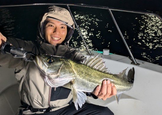 シーバス(スズキ)