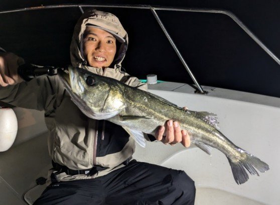 シーバス(スズキ)