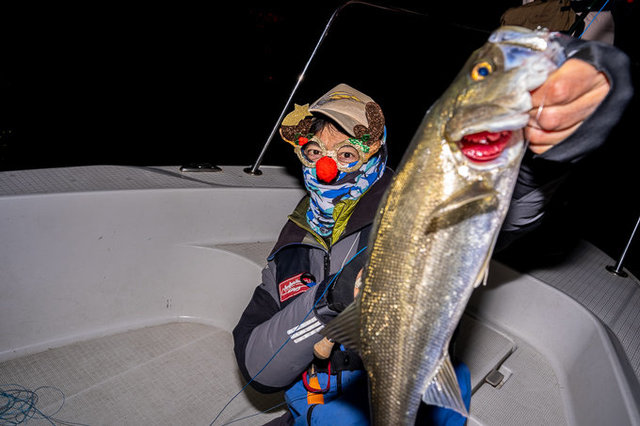 シーバス(スズキ)