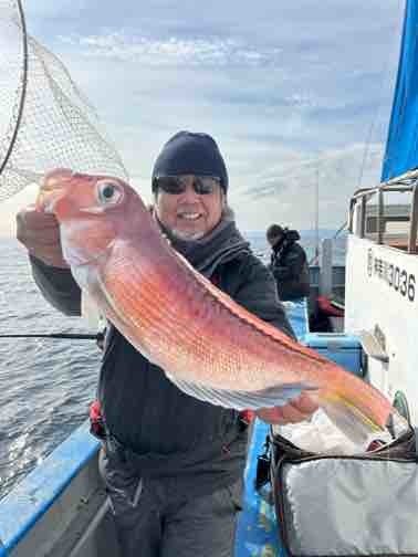 アマダイ(アカアマダイ)