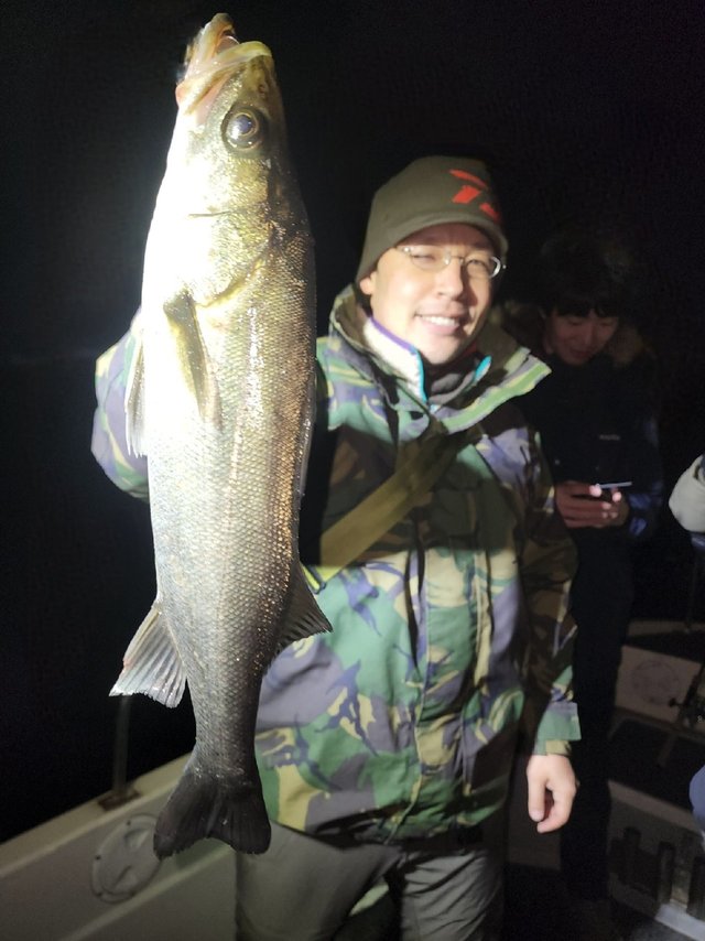 シーバス(スズキ)