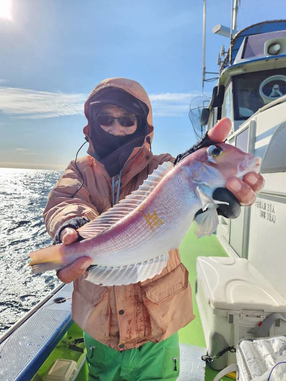 アマダイ(アカアマダイ)