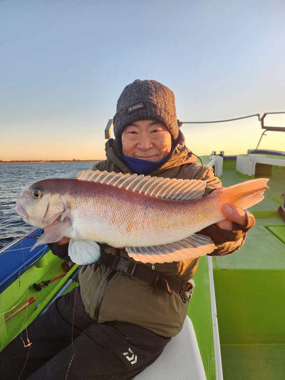 アマダイ(アカアマダイ)