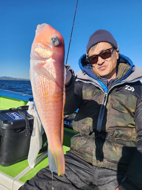 アマダイ(アカアマダイ)