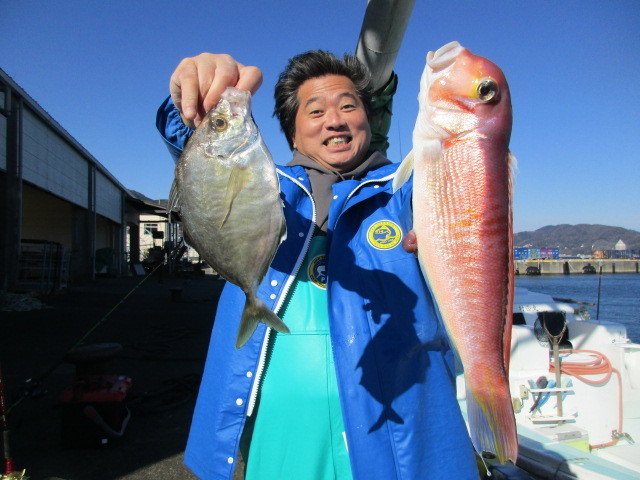 カイワリ・アマダイ(アカアマダイ)