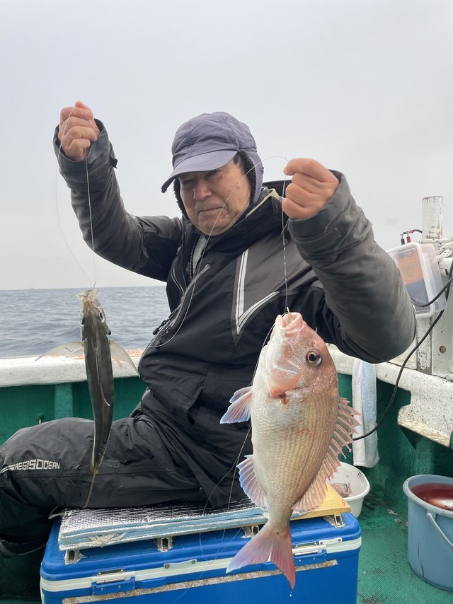 マダイ・マアジ