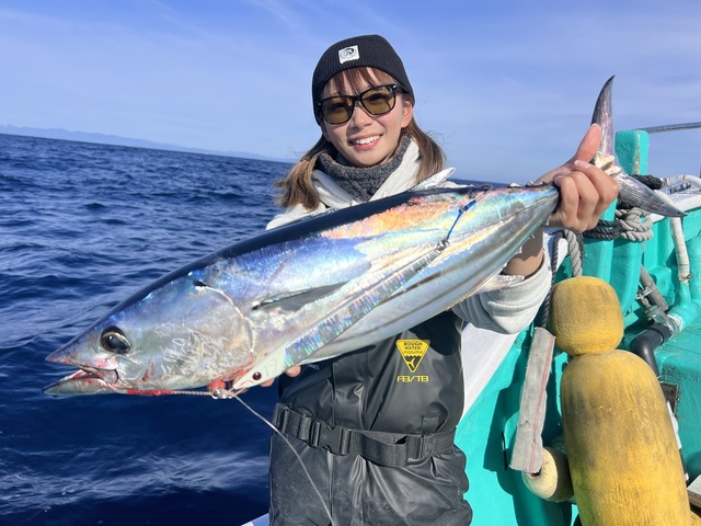 ビンチョウマグロ(ビンナガ)