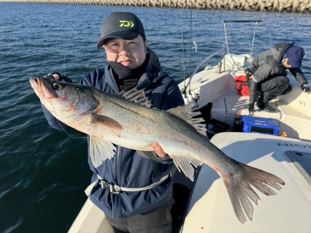 シーバス(スズキ)