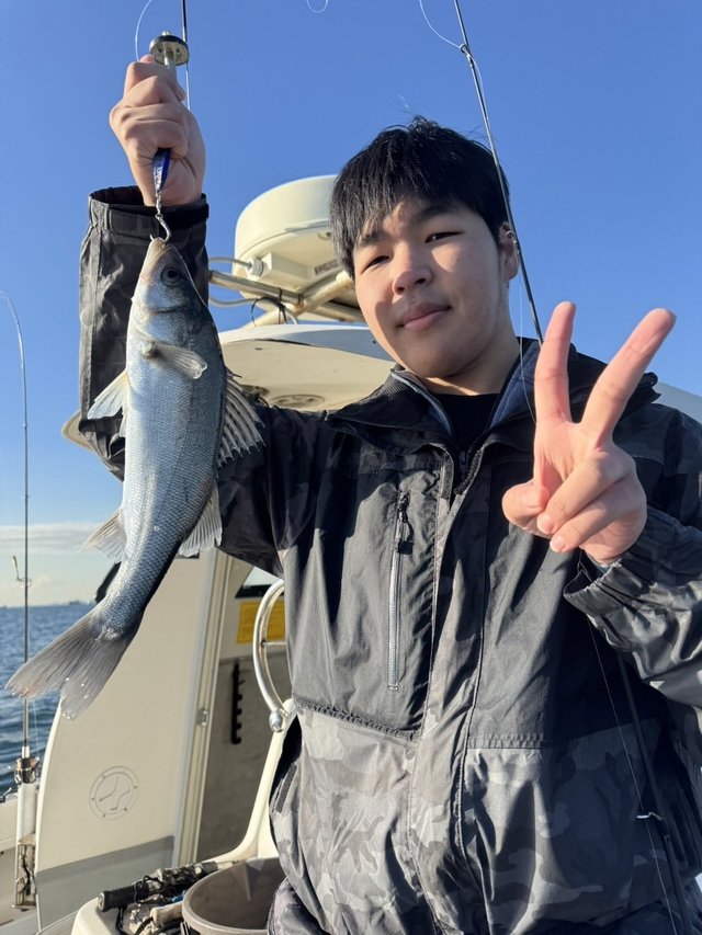 シーバス(スズキ)