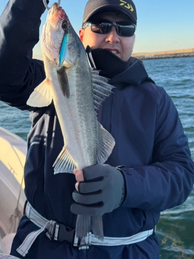 シーバス(スズキ)