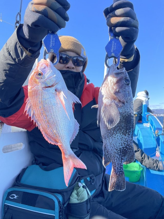 マゾイ(キツネメバル)