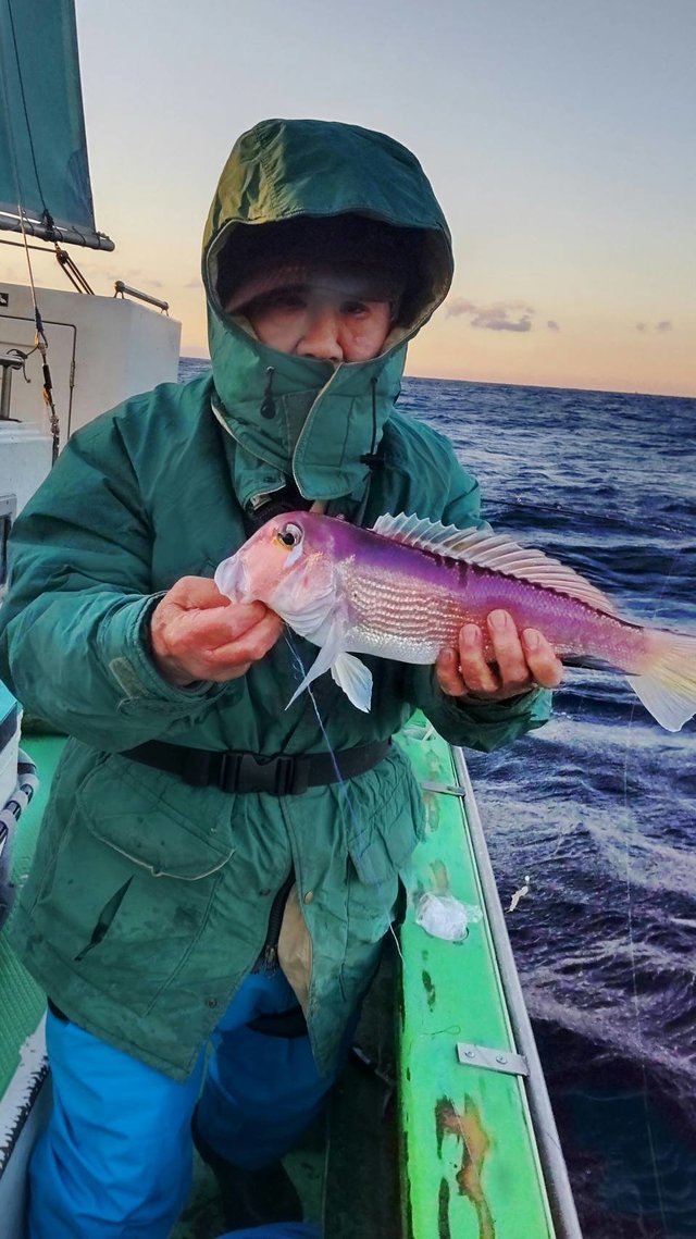 アマダイ(アカアマダイ)