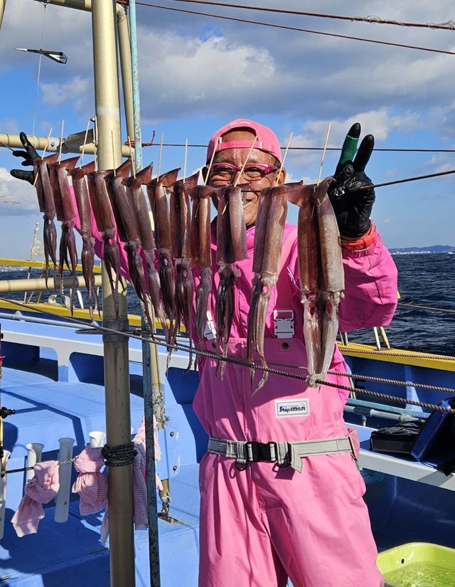 スルメ(スルメイカ)