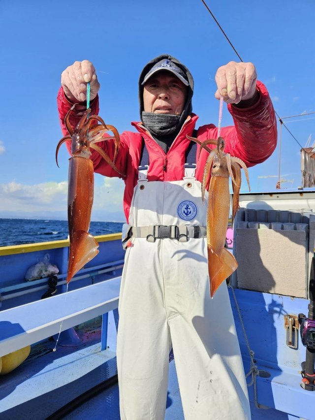 スルメ(スルメイカ)