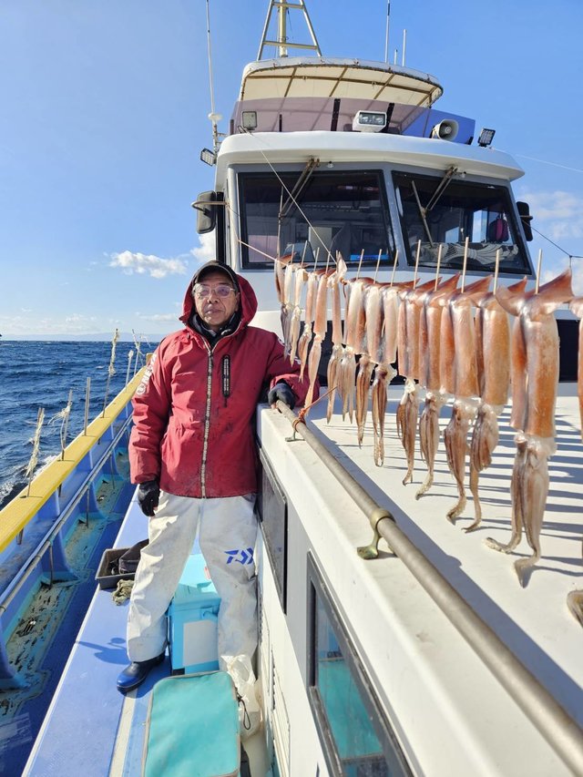 スルメ(スルメイカ)