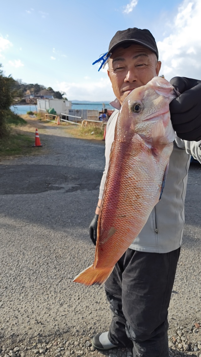 アマダイ(アカアマダイ)