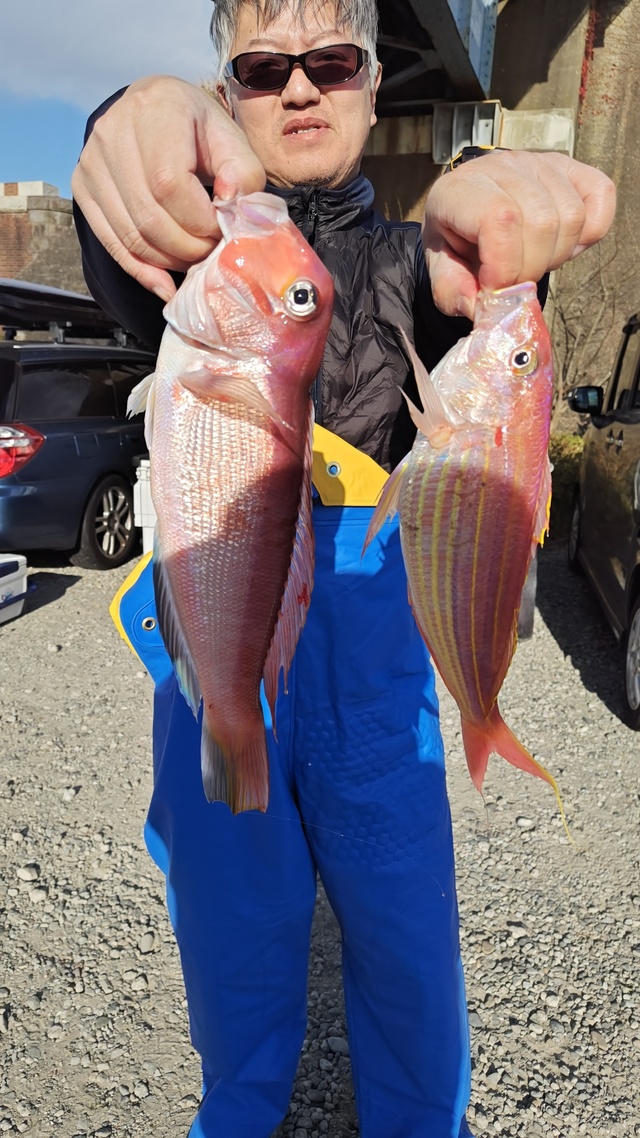 アマダイ(アカアマダイ)・イトヨリ(イトヨリダイ)