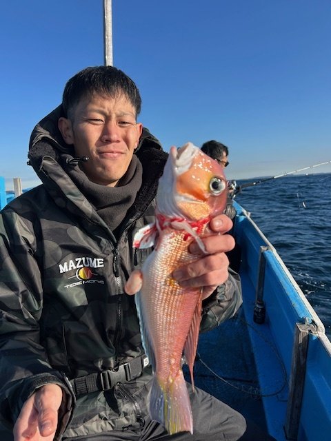 アマダイ(アカアマダイ)