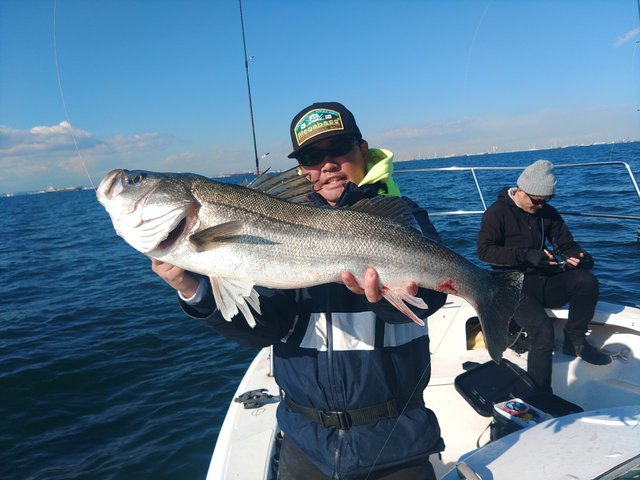 シーバス(スズキ)