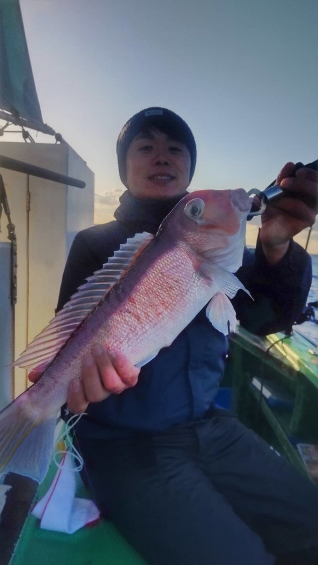 アマダイ(アカアマダイ)