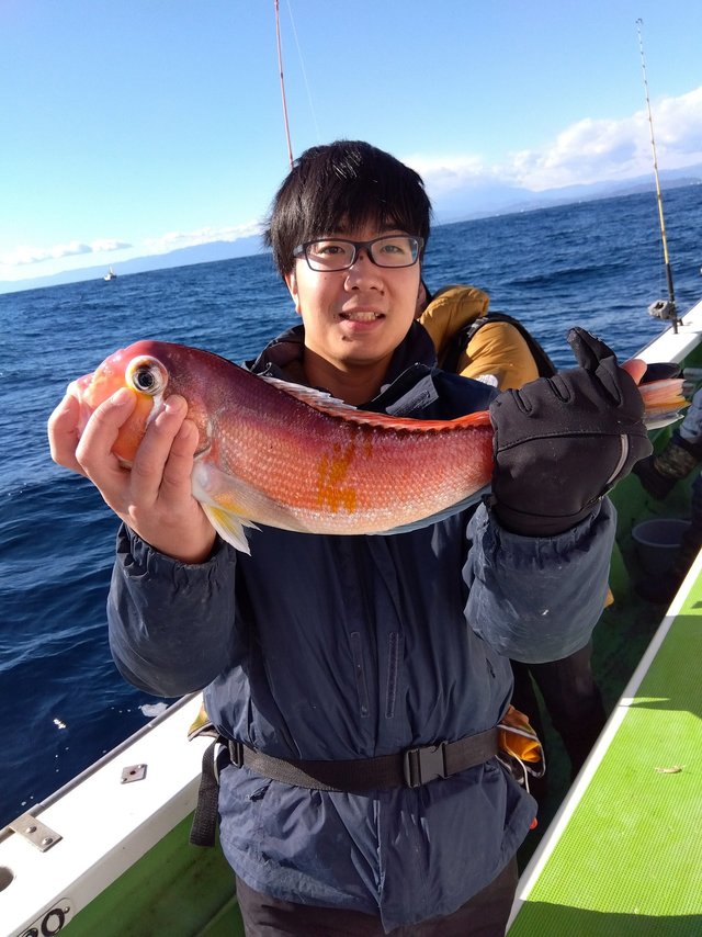 アマダイ(アカアマダイ)