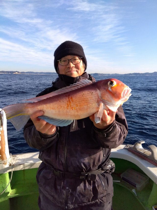 アマダイ(アカアマダイ)