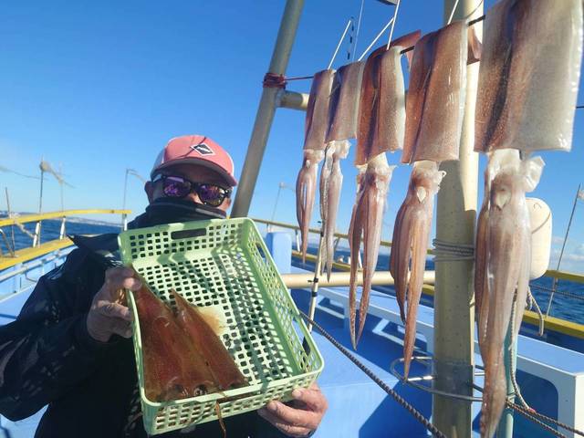 スルメ(スルメイカ)