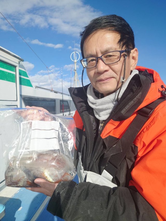 スルメ(スルメイカ)