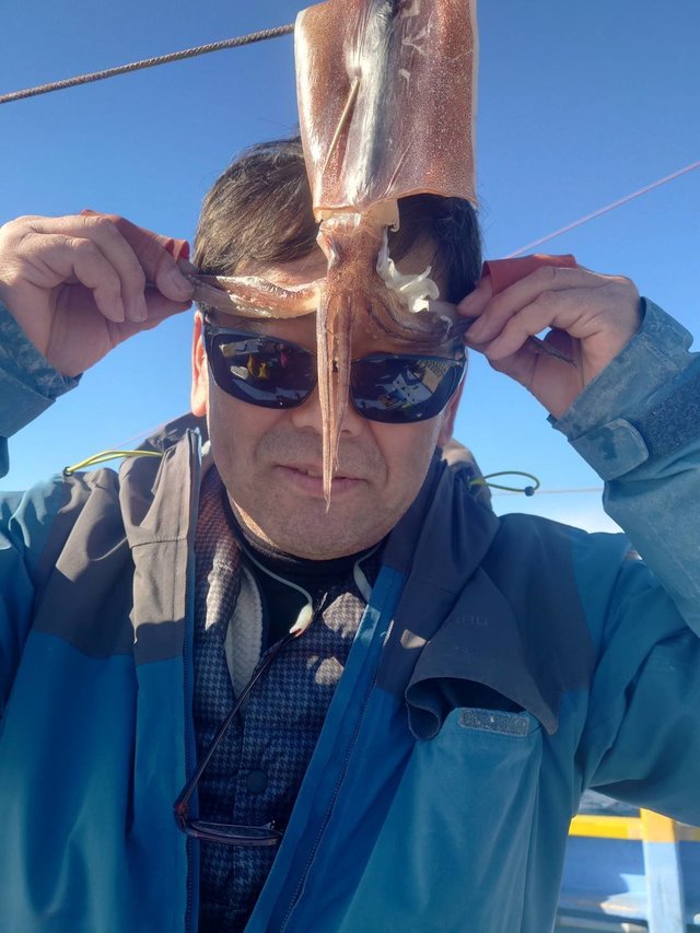 スルメ(スルメイカ)