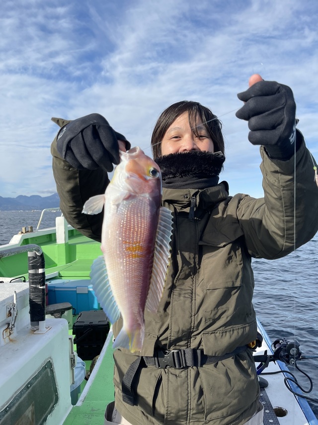 アマダイ(アカアマダイ)