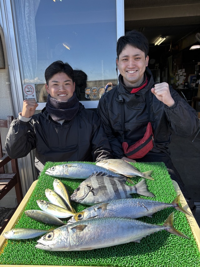 ヘダイ・アジ(マアジ)