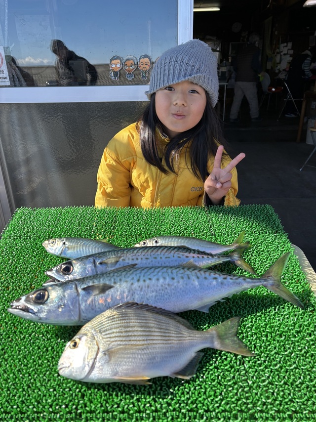 ヘダイ・アジ(マアジ)