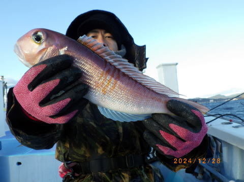 アマダイ(アカアマダイ)