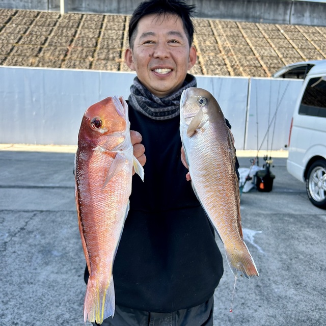 アマダイ(アカアマダイ)