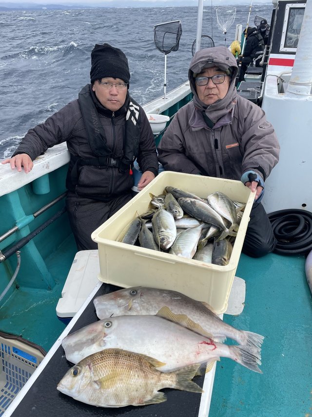 マアジ・メイチダイ