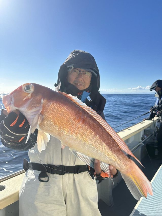 アマダイ(アカアマダイ)