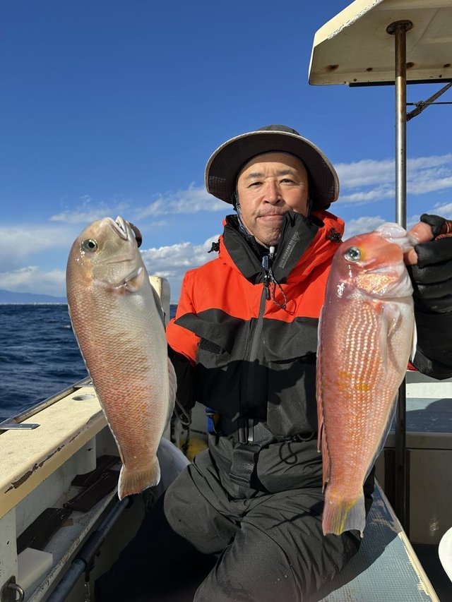 アマダイ(アカアマダイ)・シロアマダイ